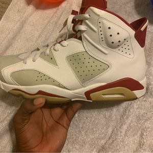 Retro Jordan 6 Alternate Hare
